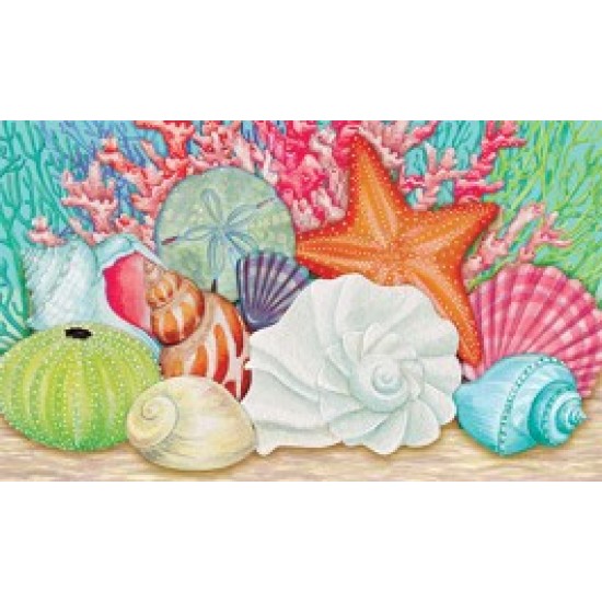 Coral and Seashells